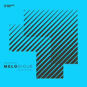Various Artists - Melodique, Vol. 17