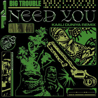 Big Trouble - Need You (Kaali Duniya Remix)