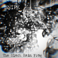 mNIPK - The Black Rain Frog