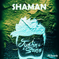 Justin-Sane - Shaman