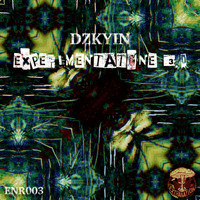 DZKYIN - Experimentatone 3.0
