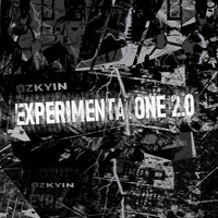 DZKYIN - Experimentatone 2.0