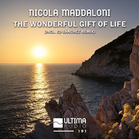 Nicola Maddaloni - The Wonderful Gift Of Life