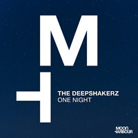 The Deepshakerz - One Night