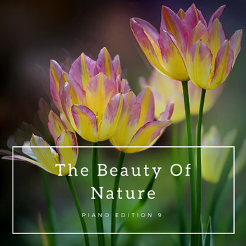 Various Artists - The Beauty of Nature (Piano Edition 9)