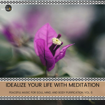 Various Artists - Idealize Your Life with Meditation - Peaceful Music for Soul, Mind, and Body Purification, Vol. 6