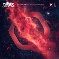 Shanks - The Moment / The Universe