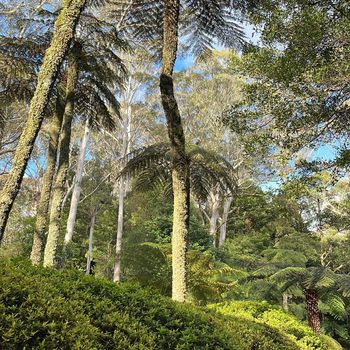 Sands - They Wanna Make Me Choke