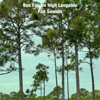 Fan Sounds - Box Fan On High Loopable