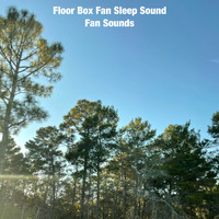 Fan Sounds - Floor Box Fan Sleep Sound