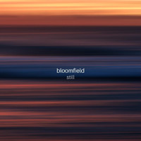 Bloomfield - Still (Noise)