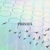 Prisma - Prisma