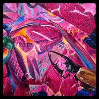 Mr. Käfer - What Now