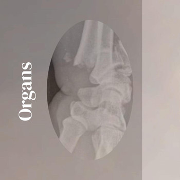 Various Artists - Organs