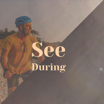 Various Artists - See During