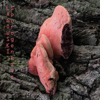 Lagowski - Sporogenesis