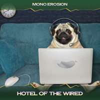 Mono Erosion - Hotel of the Wired (Todd Castle Mix, 24 Bit Remastered)