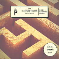 Geopard Tourist - In The Maze