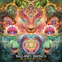 Ingrained Instincts - The Accelerated Path