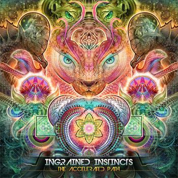 Ingrained Instincts - The Accelerated Path