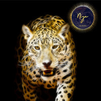 Niya - A Finale