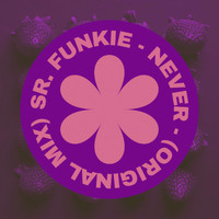 Sr. Funkie - Never (Original Mix)