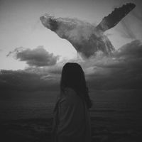 SymphoCat - Long Whale Song (Remixes)