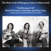 Mark O'Connor - Mashbluegrass D-28