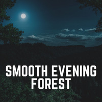 Nature Sounds - Smooth Evening Forest