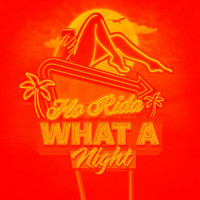 Flo Rida - What A Night (Remixes)