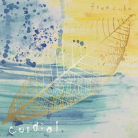 freecube - Cordial