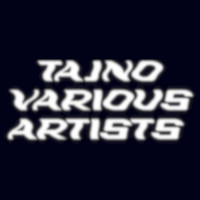 t-Zhuk - Tajno Various Artists
