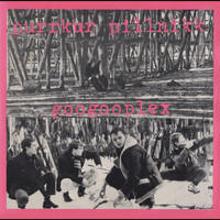 Purrkur Pillnikk - Googooplex