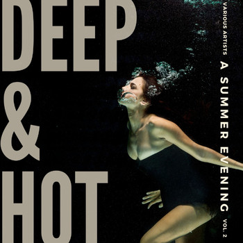 Various Artists - Deep & Hot (A Summer Evening), Vol. 2