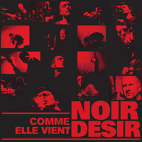 Noir Désir - Comme elle vient - Live 2002
