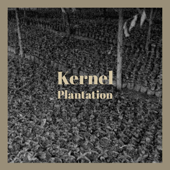 Various Artists - Kernel Plantation