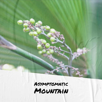 Various Artists - Asymptomatic Mountain