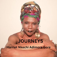 Harriet Nkechi Adimora Gore - JOURNEYS