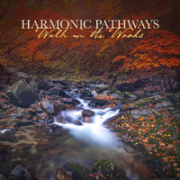 Harmonic Pathways - Walk in the Woods