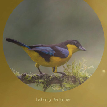 Various Artists - Lethality Disclaimer