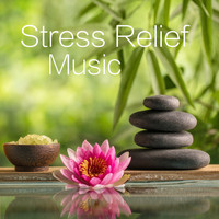 Relaxation Meditation and Spa - Stress Relief Music