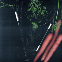 3.14 - Sticks over Carrots (Archives 2016-202, Pt. 1)