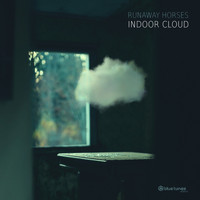 Runaway Horses - Indoor Cloud
