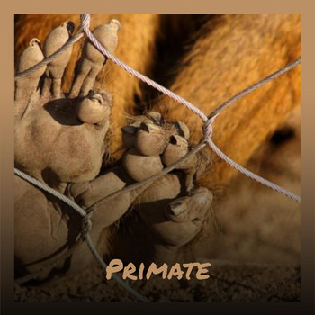 Various Artists - Primate