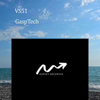 VS51 - GaspTech