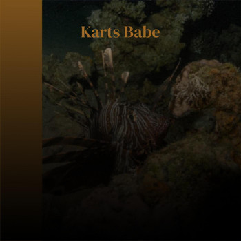 Various Artists - Karts Babe