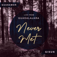 Gisun - Never Met (Live)