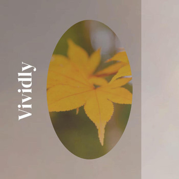 Various Artists - Vividly