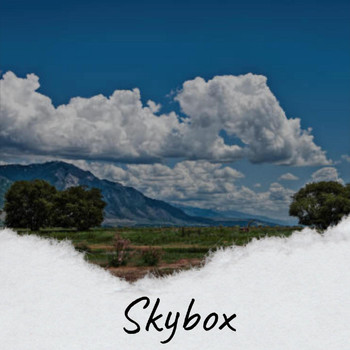 Various Artists - Skybox