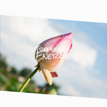 Various Artists - Tremendous Energie